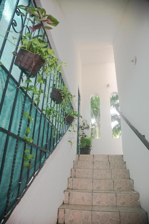 Navieros Rooms Bacalar Eksteriør bilde